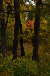 Similar image 22315341