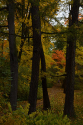 Similar image 22315342