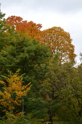 Similar image 22315343