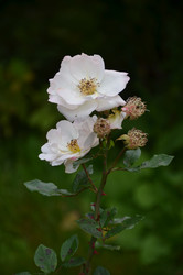 Similar image 22319695