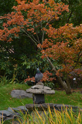 Similar image 22331599