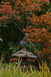 Similar image 22319698