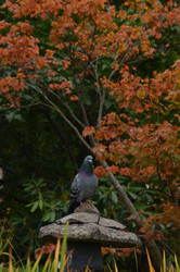 Similar image 22331600