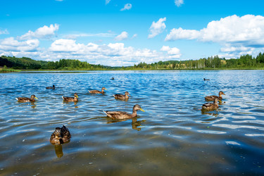 Similar image 22314914