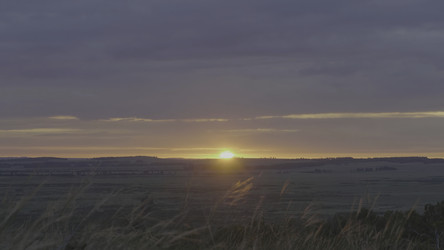 Similar image 22329734