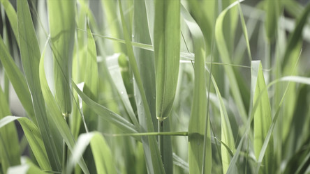 Similar image 22329903