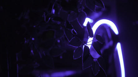 Similar image 22330186