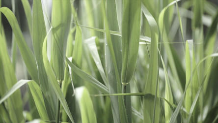 Similar image 22330613