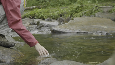 Similar image 22330617