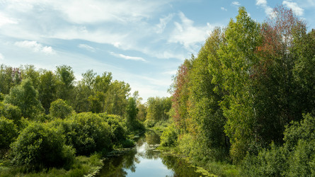 Similar image 22311366