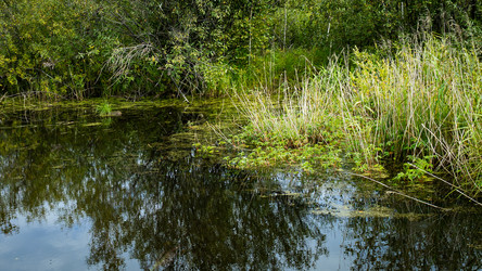 Similar image 22311368