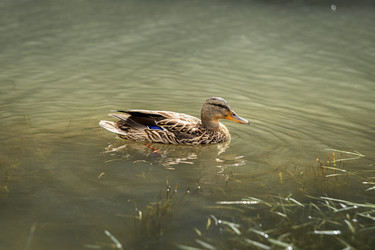 Similar image 22311369