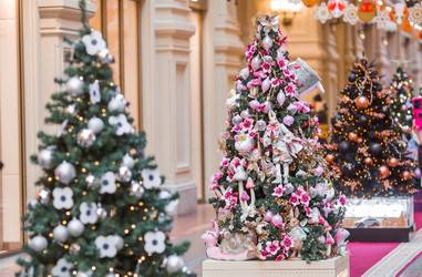 Similar image 22308886