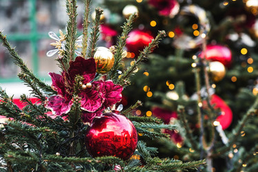 Similar image 22308899