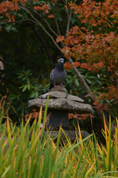 Similar image 22319699