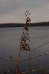 Similar image 22308554