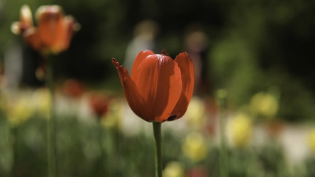 Similar image 22329737