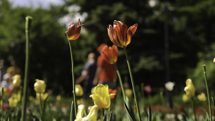 Similar image 22330190