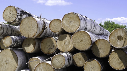 Similar image 22330622