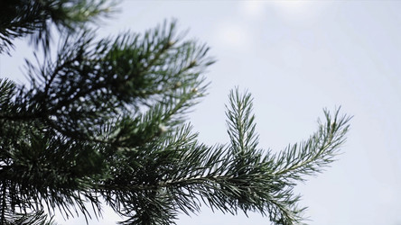 Similar image 22331070