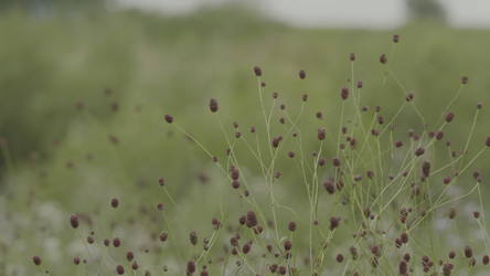 Similar image 22331073