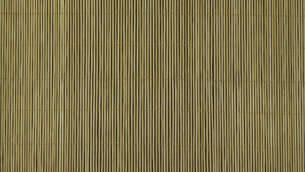 Similar image 22331328