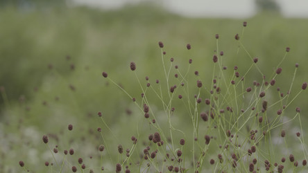 Similar image 22331332