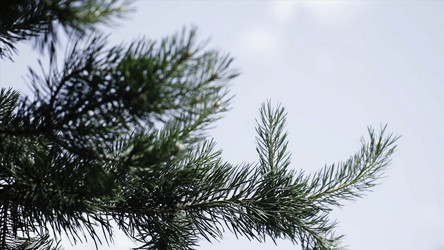 Similar image 22331538