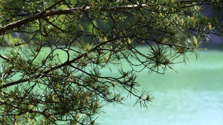 Similar image 22331539