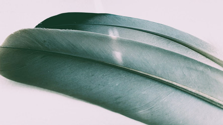 Similar image 22311905