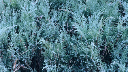 Similar image 22314783