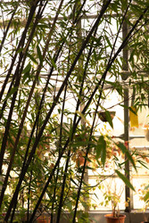 Similar image 22308902