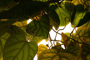 Similar image 22308903