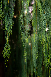 Similar image 22308904