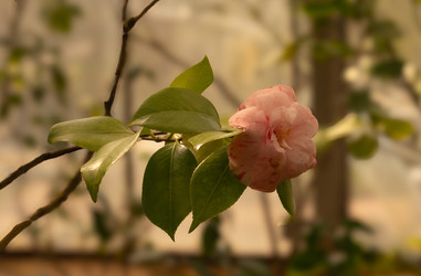 Similar image 22308905