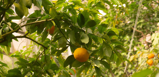 Similar image 22308906