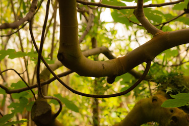 Similar image 22308907