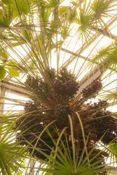 Similar image 22308908