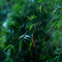 Similar image 22308909