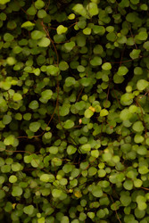 Similar image 22308910