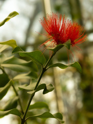 Similar image 22308911