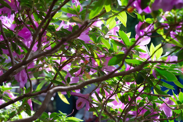 Similar image 22308913