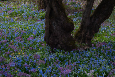 Similar image 22308915