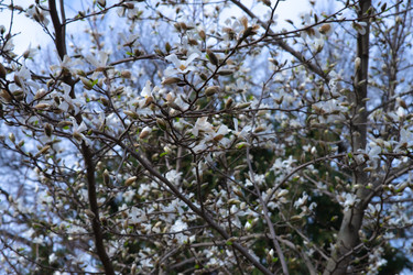 Similar image 22308916