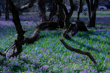 Similar image 22308919