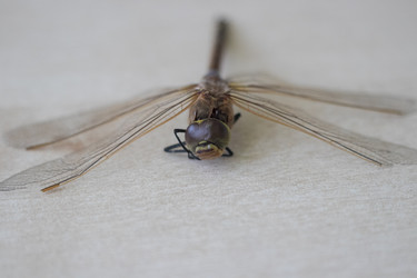 Similar image 22311773