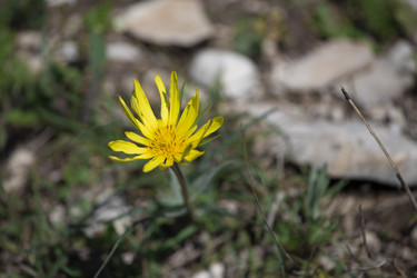 Similar image 22311776