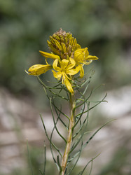 Similar image 22311777