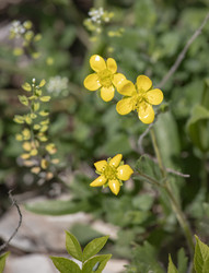 Similar image 22311780