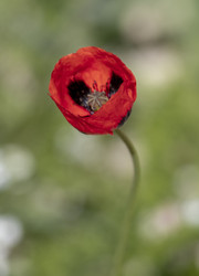 Similar image 22311783